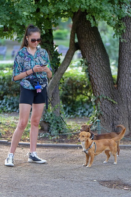 apps hundebesitzer 1