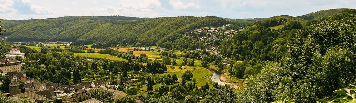 Arnsberger Wald