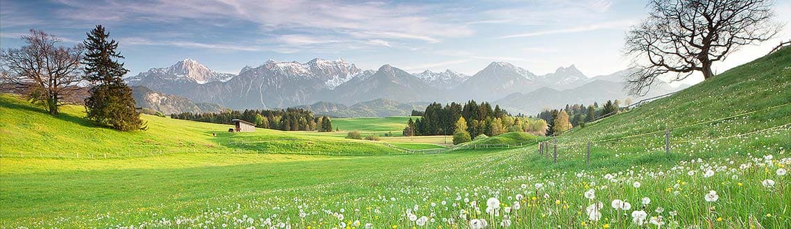 Frühling in Bayern