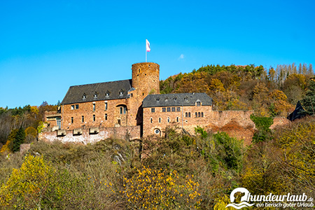Burg Hengebach1