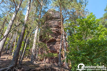 effels felsen nideggen2