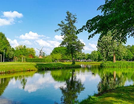 Urlaub mit Hund im Emsland
