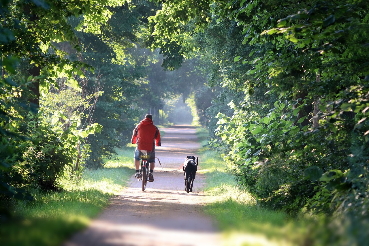 farradfahren hund 1