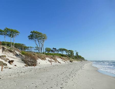 Strand von Prerow