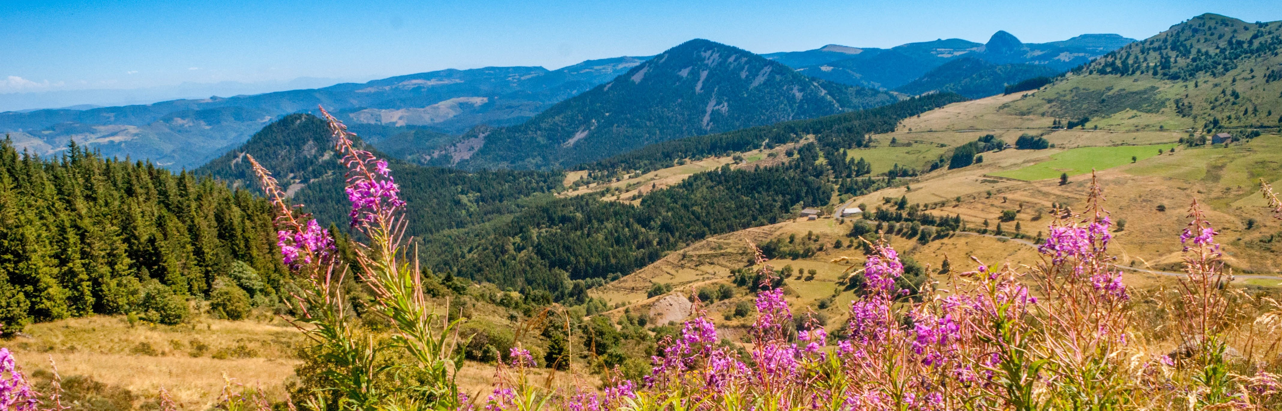 Urlaub mit Hund in der Auvergne