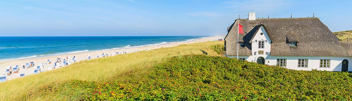 Ferienwohnungen & ferienhäuser friesland (region) bei hundeurlaub.de