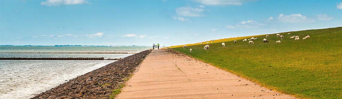 Deich auf Nordstrand