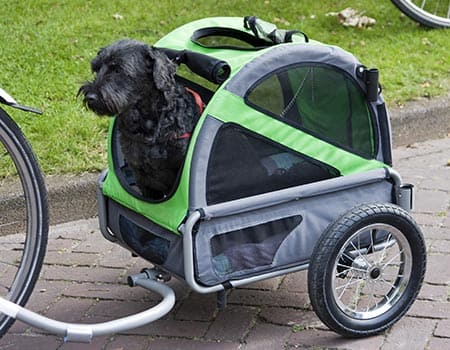 Fahrradfahrerin mit Anhänger und Hund