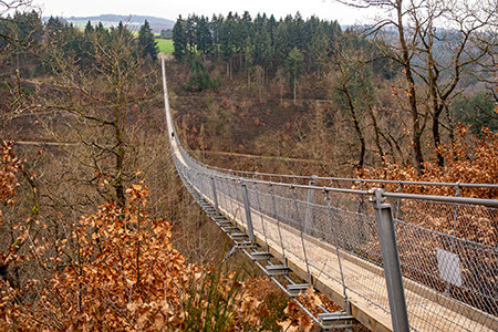 Geierlay Hängeseilbrücke