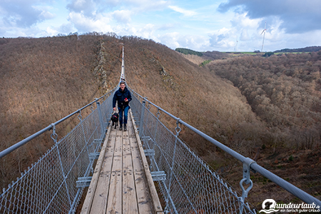 Hängebrücke Geierlay Hund