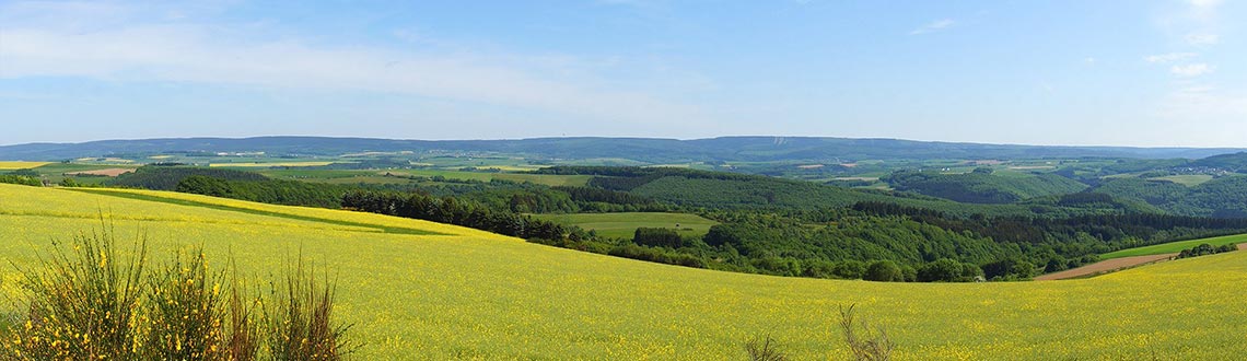 Ferienwohnungen/Ferienhäuser Hunsrück mit Hund hundeurlaub.de