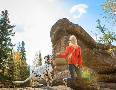 Hundewandern in der Sächsischen Schweiz