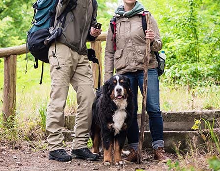 Wanderer mit ihrem Hund im Wald