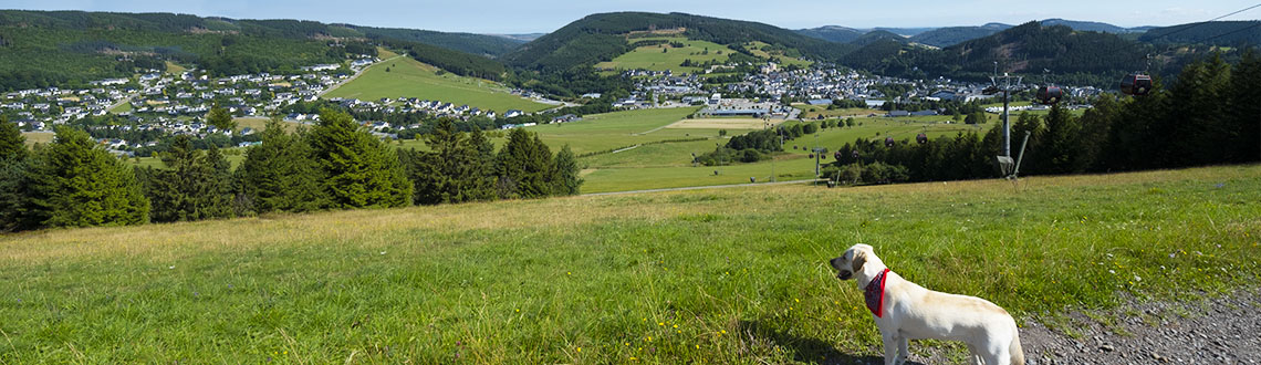 Wanderer mit einem Hund