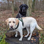 Ayka und Flocke