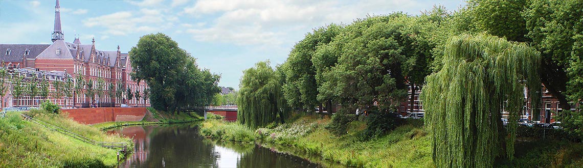 Urlaub mit Hund in Noord-Brabant