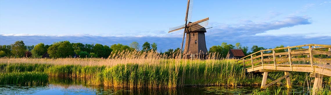 Urlaub Mit Hund: Ferienhaus Direkt Am Meer In Holland