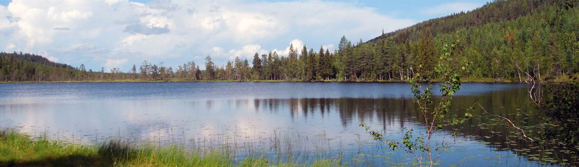 Urlaub mit Hund in Nordschweden Schwedisch-Lappland