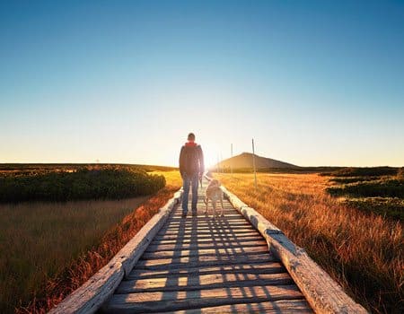 Mann mit Hund auf Steg im Moor gehen Sonnenuntergang entgegen