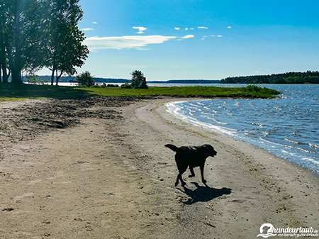 Hundestrand