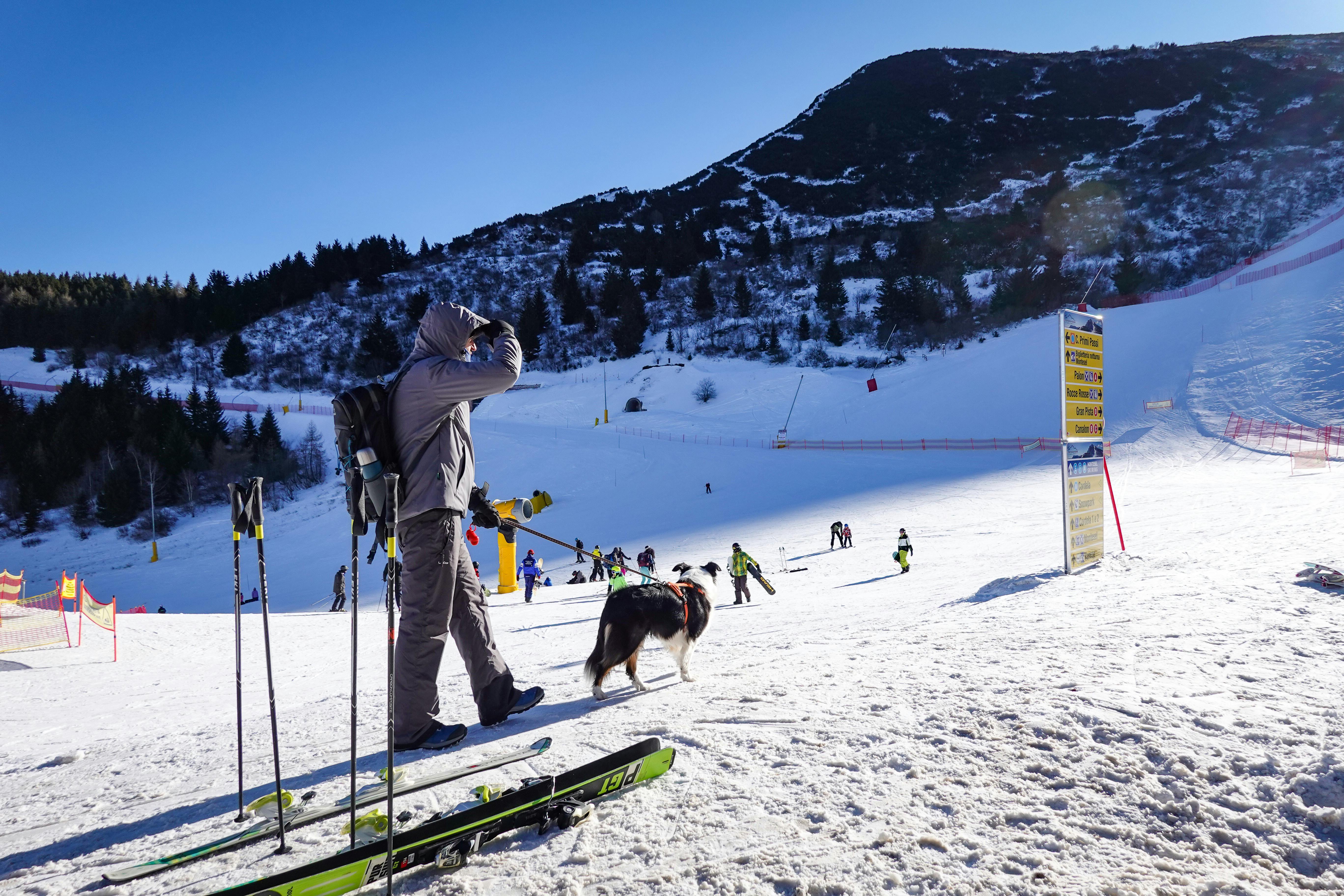 skiurlaub hund 1