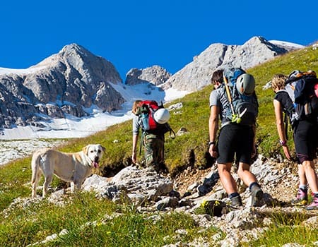 Wanderer mit Hund in Südtirol