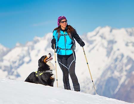 Ski laufen mit Hund