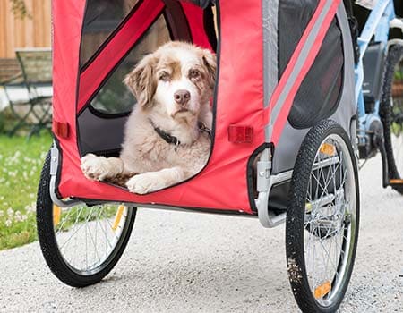 Radtour mit dem Hund nach Cuxhaven