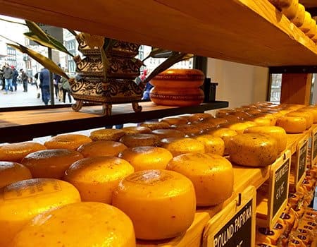 frische Käselaiber auf einem niederländischen Wochenmarkt